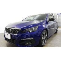 PEUGEOT 308SW メンテナンス洗車＆メッキルーフレール研磨